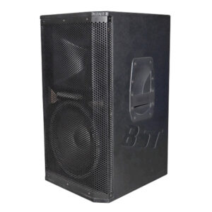 BOXA PRO 2 CAI 10 inch/25CM 120W RMS BST