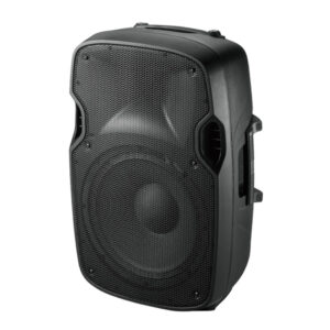 INCINTA ACUSTICA 8 inch/20CM 100W RMS