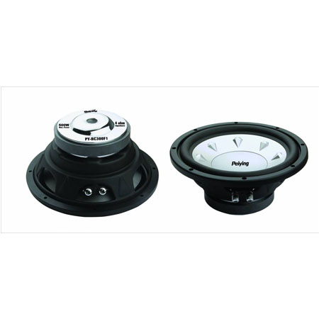 SUBWOOFER AUTO 250MM 300W
